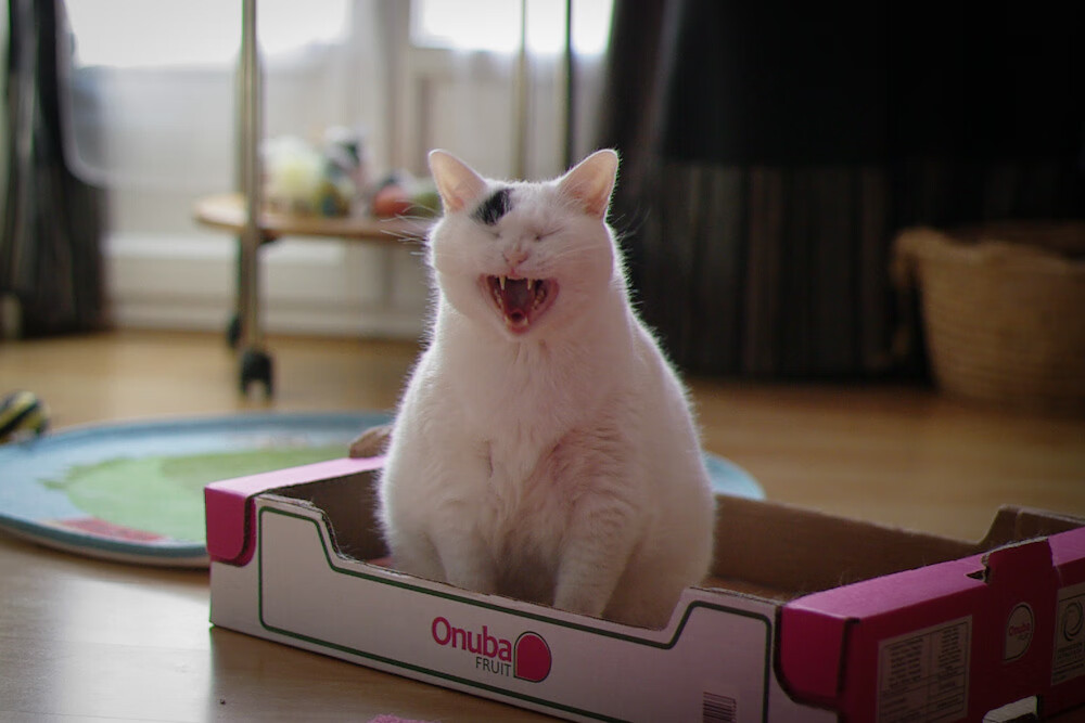 爱游戏体育（AYX）官方APP下载-_传统体育文化节：弘扬民族体育精神_，弘扬中华民族传统体育文化